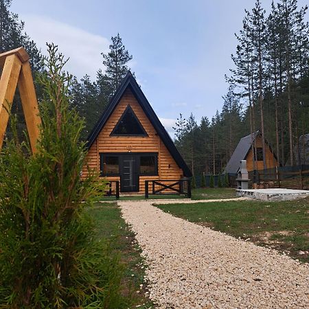 Pine Forest-Black Žabljak Εξωτερικό φωτογραφία